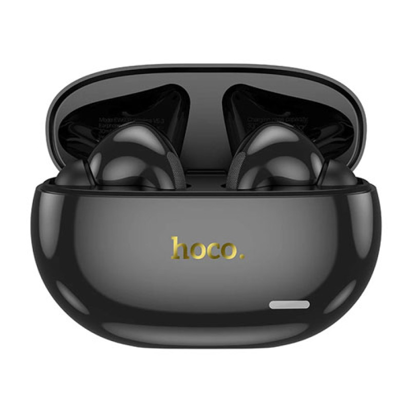 Hoco EW60 Plus ANC TWS Earbuds