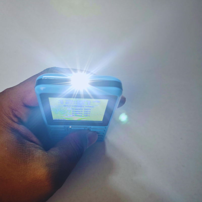 Women's Brown Leather Backpacks